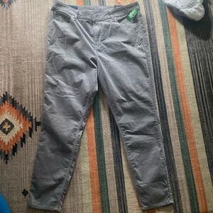 GAP Factory Velvet Leggings sz18 🐨 NWT 🔖